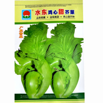大肉鸡心芥菜种子甜脆芥菜种子高产水咸菜盖菜包心芥菜酸菜种