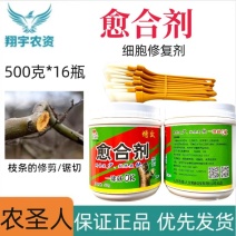 山东农圣人愈合剂