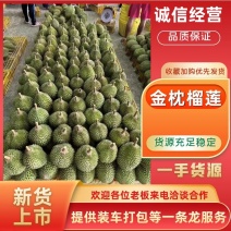 干尧榴莲榴莲产地直发软糯香甜对接二批三批市场等