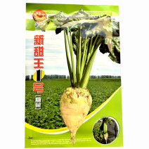 新甜菜王种子含糖量高糖菜种籽皮白色根圆锥形可饲用孑