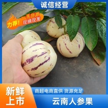 精品（人参果），产地直供，一件代发，整车批发发，对接全国