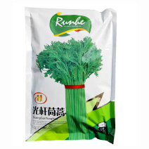 光杆茼蒿种子500g散装四季小叶茼蒿籽丰产美味皇帝菜四季
