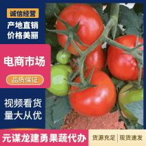 【商超供货】硬粉西红柿大红西红柿规格价格不一样来电说