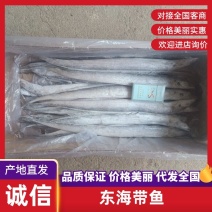干冰条冻东海带鱼一点冰衣没有不包运费量大从优