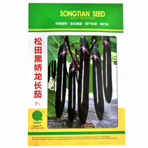 松田黑娇龙长茄种子早熟春秋黑油亮茄子种籽抗病蔬菜茄耐贮运