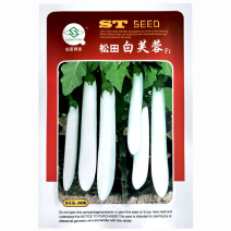 松田白芙蓉种子白玉茄早熟高产白长茄子皮薄肉厚白色茄子