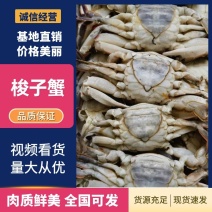 单冻梭子蟹大量有货质量保证欢迎老板电话联系
