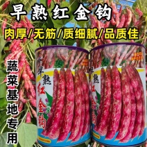 红金钩油豆种子荚红油亮略带黄色无筋无柴红皮豆角种子