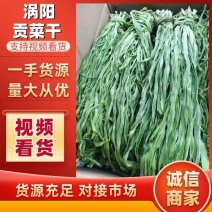原产地直销精品贡菜干货量充足价格优惠保质保量欢迎咨询