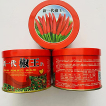 新一代椒王朝天椒种子高辣簇生型抗病坐果率高色泽深