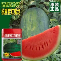 抗重茬红蜜龙西瓜种子大果花皮懒汉西瓜种子细嫩多汁