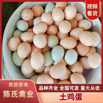 湖北精品农家土鸡蛋/双色/蛋清稠/蛋黄大/自产自销/诚信经营