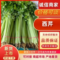 西芹，芹菜中细棵山东聊城产地电商平台，商超市场直发