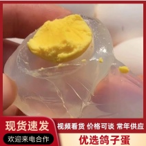 【推荐】新鲜鸽子蛋精选大鸽蛋价格美丽产地直发欢迎咨询下单