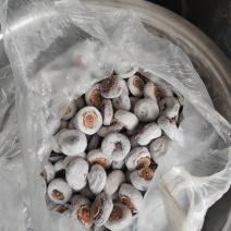 山西精品柿饼农户自晒无添加剂货源充足欢迎来电咨询