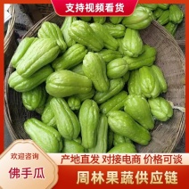【佛手瓜】广东佛手瓜/产地批发/代办团队/供应市场商超
