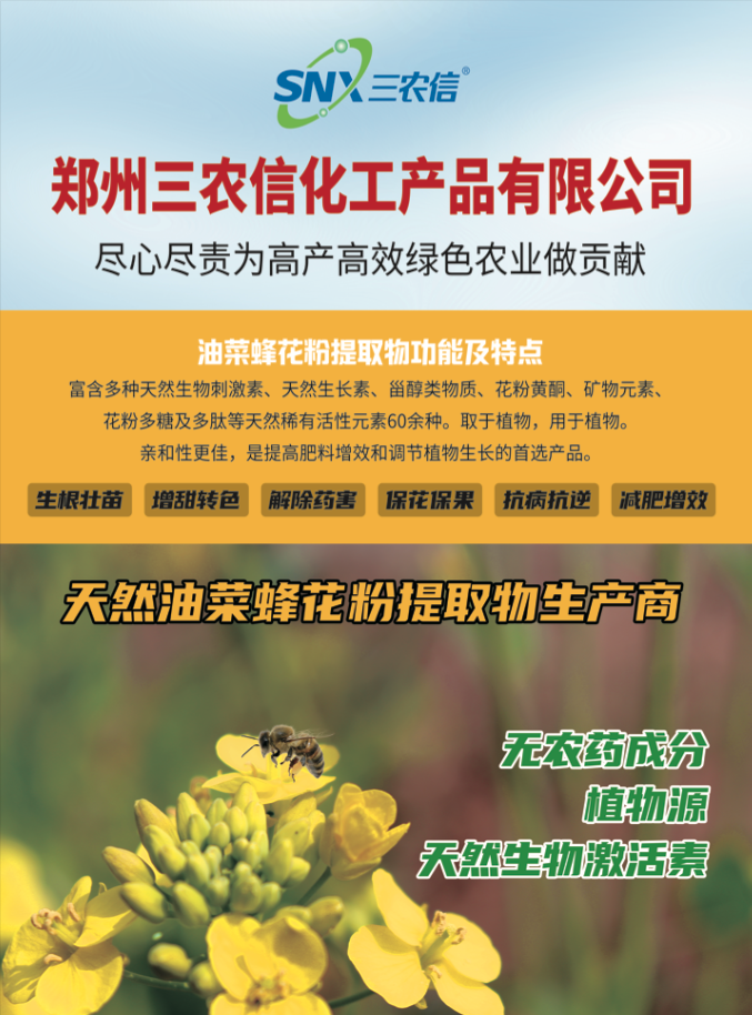 科研实拍:国家级蜂产品质检中心检测现场,HPLC设备正在定量分析油菜蜂花粉标志性黄酮成分芸香苷(Rutin),确保批次间活性成分稳定性,体现用量科学性的技术支撑 实验室检测场景:专业人员使用高效液相色谱仪(HPLC)分析油菜蜂花粉中芸香苷含量,电脑屏幕显示清晰色谱峰,旁置标有“Brassica napus Pollen”的标准样品瓶