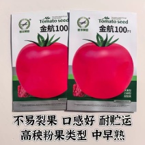 金航100番茄种子抗病抗大果口感型耐裂果