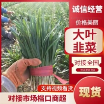 潍坊头刀韭菜，品质好，价格实惠，支持视频看货选货