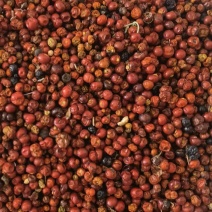 茜草种子一手货源大量现货供应，出芽率高品质保证