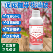 厂家直销促花催芽花满枝微生物菌剂