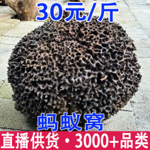 蚂蚁窝蚂蚁巢黑蚂蚁窝产地货源一件代发