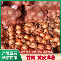 产地直销甘肃黄皮洋葱大小齐全，品质保障，量大从优视频看货