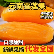 云南天山雪莲果基地直供供应全国批发市场档口专业一件代发