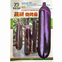 蔬研烧烤茄种子丰产抗病果形美观中晚熟品种长棒型口感甜糯茄