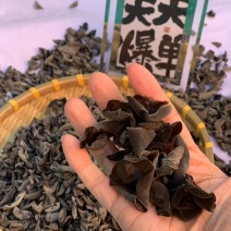 1.2木耳秋卷边
