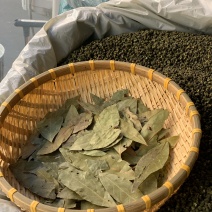 特绿香叶