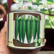 油绿水果秋葵种子鲜绿脆嫩早熟高产耐热商品性春夏播