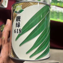 靓绿618秋葵种子早熟高产耐老化黄秋葵种籽农家四季田园蔬