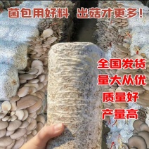出售平菇菌种菌棒出菇菌包产地直发保质保量