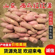 山东西瓜红红薯产地直发，货量充足质量保证，视频看货