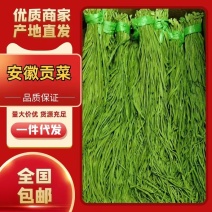 火锅餐饮商超优选贡菜贡菜干义门苔干一手货源全国一件代发