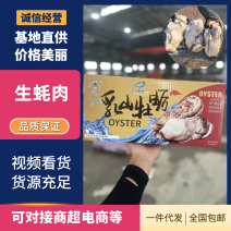 正宗乳山生蚝生蚝肉一件代发十斤装对接电商社区团购等