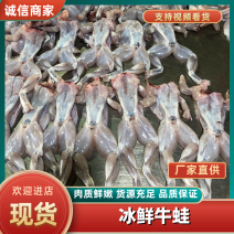 冰鲜牛蛙全规格去皮去内脏去脚趾牛蛙肉冰衣牛蛙肉大号