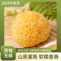 古田丑耳银耳特优源头货源进店优惠2025年新货