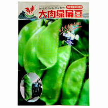 大肉绿扁豆种子猪耳朵籽白色光滑脆嫩品质佳采收期长蔬菜种子