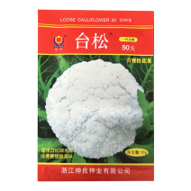 神良台松50天青梗松花菜种子早熟耐热抗病基地品种