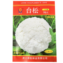 台松70天松花菜种子青梗白花10克早熟耐热抗病