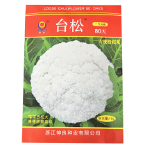 台松80天松花菜种子青梗白花菜中熟抗病强耐热