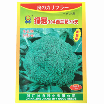 绿冠30470天西兰花种子早熟高产紧实抗病绿花椰菜