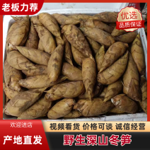 冬笋野生深山冬笋产地直供规格齐全量大从优全国发货