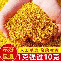 天堂漓江新货桂花茶桂林金桂花干茶食用烘焙特级茶叶散装批发