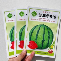 佳年华518西瓜种子大红瓤口感独特甜而多汁耐裂