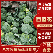 【季节菜】西蓝花商超供货档口发货价格可谈欢迎咨询