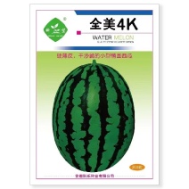 全美4K西瓜种子硬薄皮花皮红肉干沙瓤糖度高