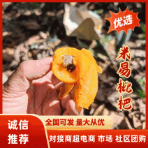 【热卖推荐】四川枇杷大五星枇杷，包邮整箱5斤3斤